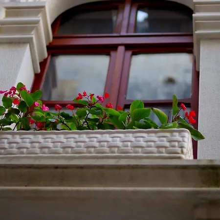 Apartment Palace Stafileo